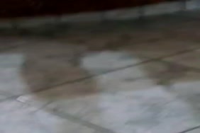 Xvideo courte nik terma hidjeb